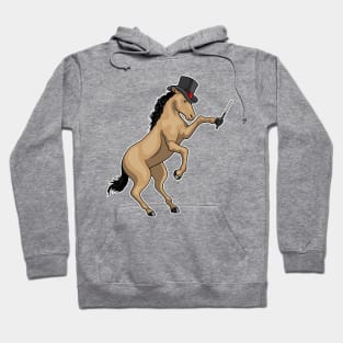 Horse Magician Magic wand Hoodie